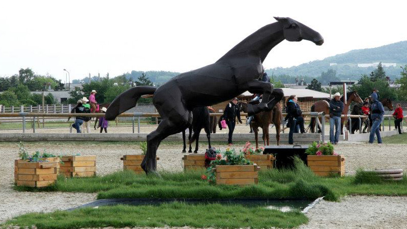 13-areal-zdravia-rozalka-v-pezinku