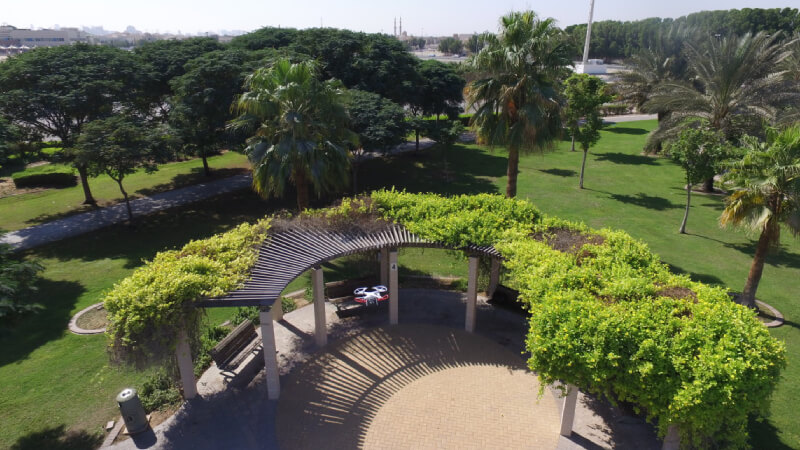 Al-Barsha-Pond-Park-dubaj-park