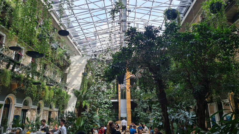 the-twentysix-budapest-garden-zapakuj