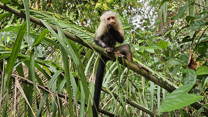 stezka-bahia-drake-public-trail