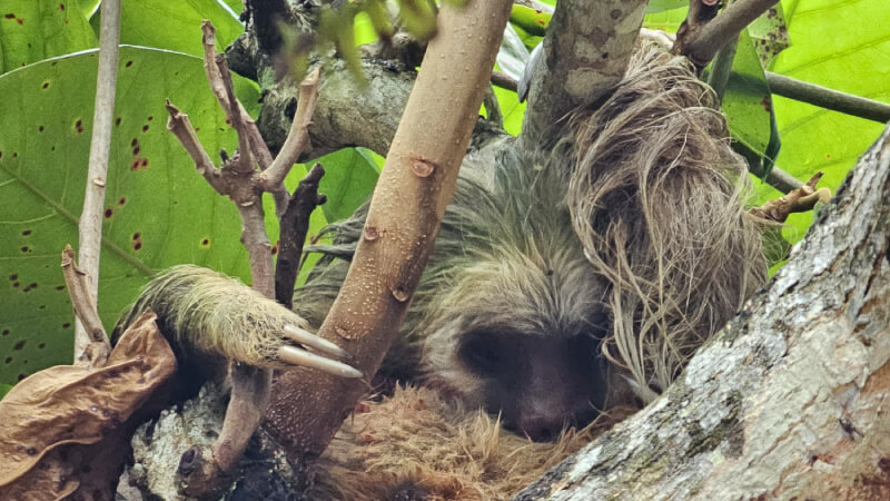 slot-auta-Dovolena-kostarika-letenky-ubytovani-doprava