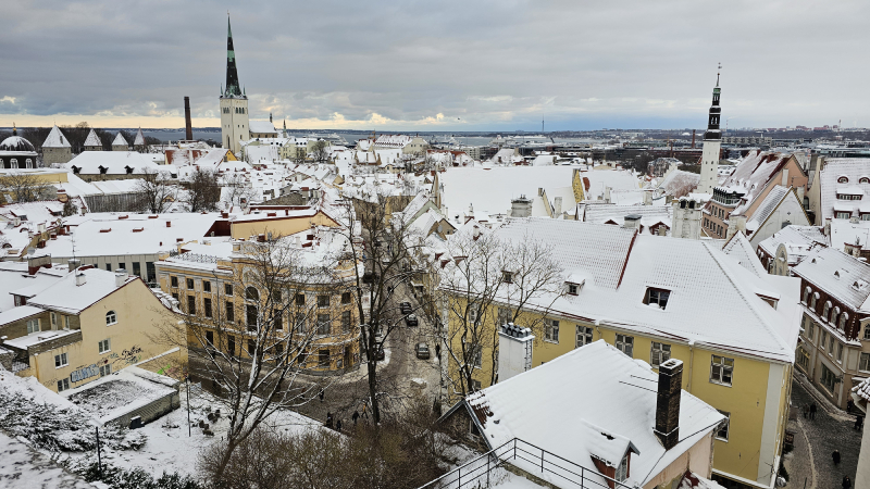 Kohtuotsa-viewing-platform-tallin