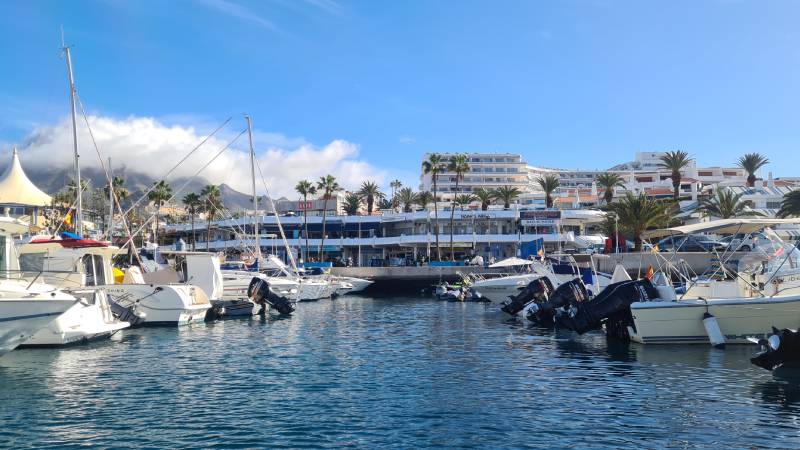 velryby-kanarske-ostrovy-tenerife