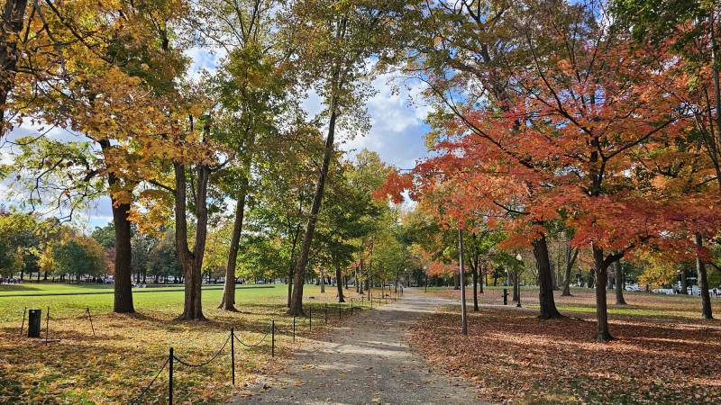 Kolik-dni-ve-Washingtonu