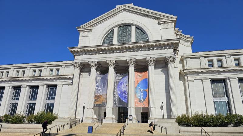 muzea-a-galerie-ve-washingtonu