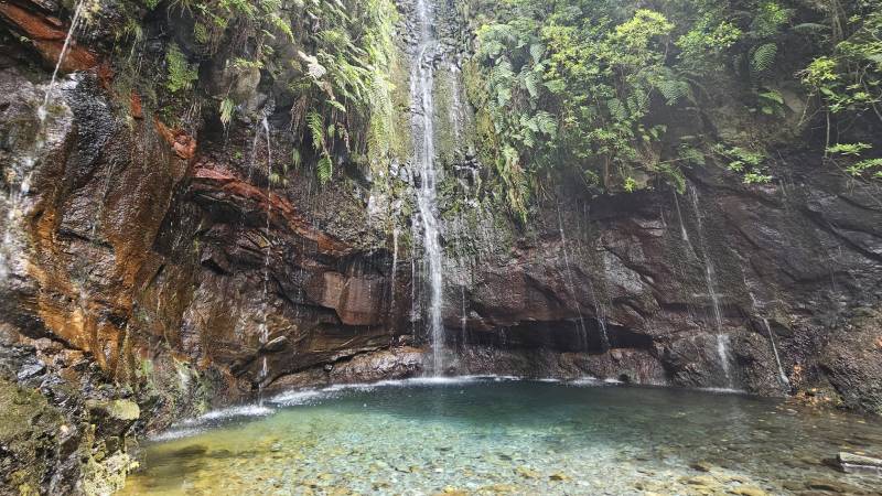 15-PR6-Levada-das-25-Fontes-Levada-do-Risco-madeira-2