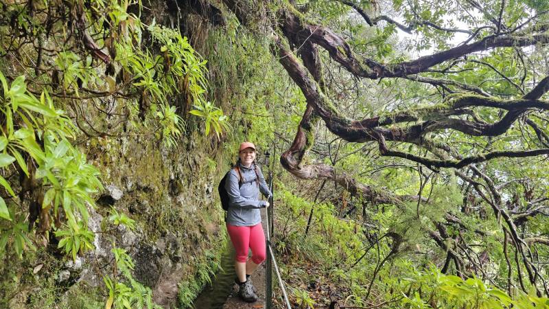 23-PR9-Levada-do-Caldeirao-Verde-madeira