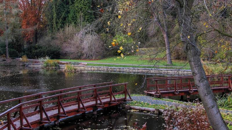 Arboretum-bila-lhota-20-originalnich-tipu-na-vylet-olomouc-a-okoli