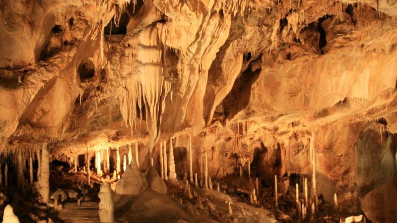 Javoricka-jeskyne-20-originalnich-tipu-na-vylet-olomouc-a-okoli