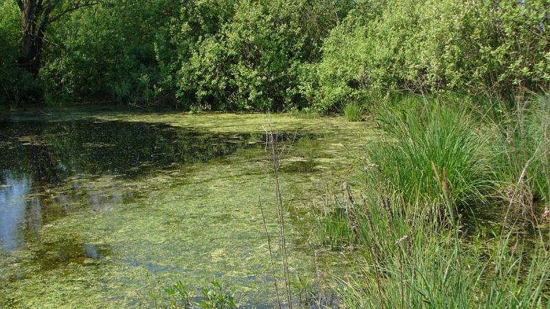 litovelske-pomoravi-20-originalnich-tipu-na-vylet-olomouc-a-okoli