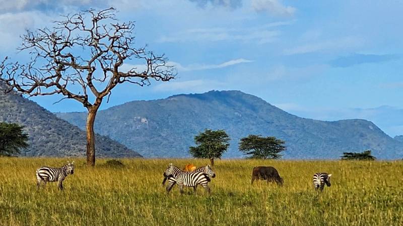 uganda-co-videt-uvodni-fotka